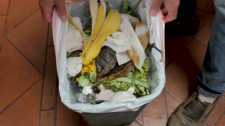 Junk Removal for Events in Palmetto, FL