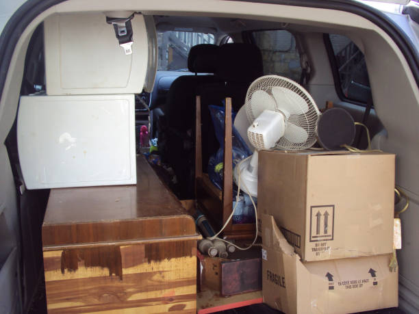 Best Construction Debris Removal  in Palmetto, FL